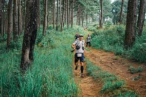 BIB: 
                            <button type="button" onclick="openModal(25655858)" class="btn btn-primary btn-sm float-right btn-popup" data-toggle="modal" data-target=".modal-high-quality">
                        <i class="fas fa-shopping-cart"></i> Add to Cart
                    </button>
                                            <button type="button" onclick="isThisMe(25655858, true)" class="btn btn-success btn-sm float-right btn-popup btn-isme hidden" data-toggle="tooltip" data-placement="bottom" title="นี่คือรูปของคุณใช่ไหม คลิกที่นี่เพื่อเอาเข้าอัลบั้ม">
                        <i class="fas fa-plus"></i> Add to album
                    </button>
                    <button type="button" onclick="isThisMe(25655858, false)" class="btn btn-warning btn-sm float-right btn-popup btn-isnotme hidden">
                        <i class="fas fa-ban"></i> Remove from album
                    </button>